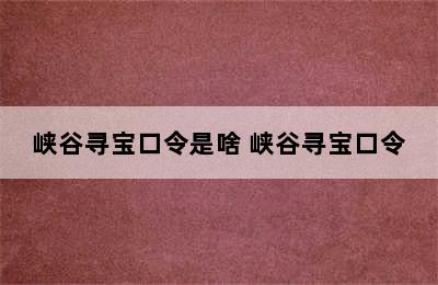 峡谷寻宝口令是啥 峡谷寻宝口令